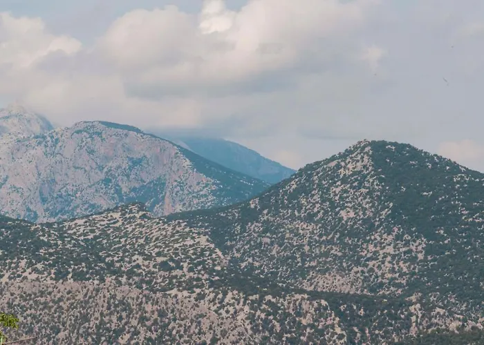 La Terrazza In Centro *