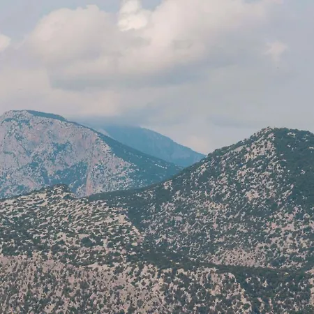 La Terrazza In Centro *