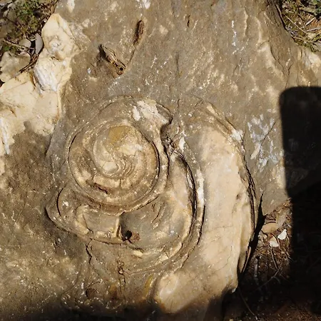 La Terrazza In Centro * דורגלי