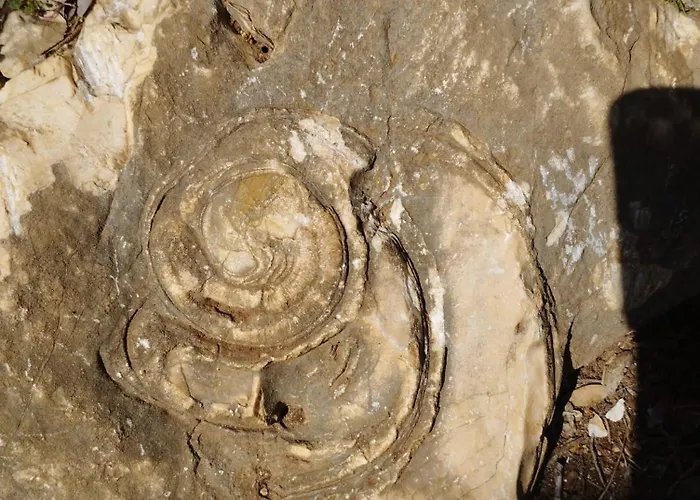 La Terrazza In Centro * Dorgali